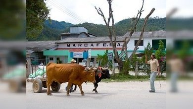 Parlamento Latinoamericano suspende al Congreso de Honduras