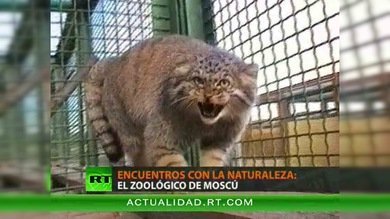 ENCUENTROS CON LA NATURALEZA : EL ZOOLÓGICO DE MOSCÚ