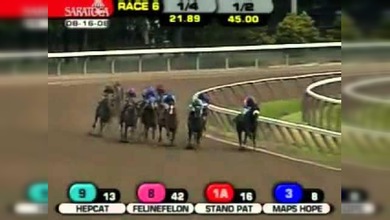 Lo qué pasa si un caballo de la carrera se llama ARRRR