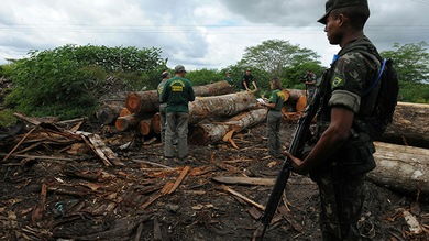 Cruzada militar en Brasil para atajar la tala ilegal que amenaza a la tribu de los awás