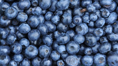 12 alimentos inteligentes: cómalos para potenciar su cerebro