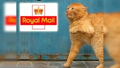Un gato agresivo asustó a los carteros