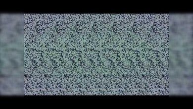 Encuentre las imágenes ocultas: Impresionante video 3D al estilo del 'ojo mágico'