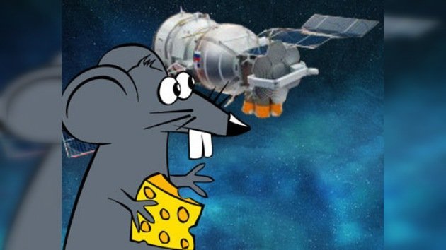 50 ratones destinados a conquistar el espacio