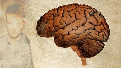 Descubren una proteína que potencia o anula nuestra memoria