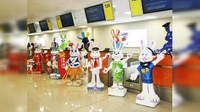 Marcha de conejos y fotoespíritu de la aviación en aeropuerto moscovita
