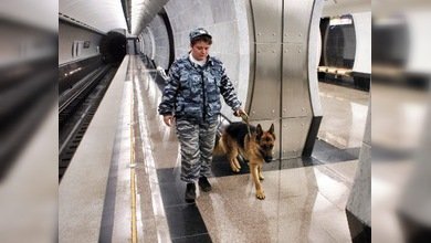Los perros ayudan a combatir el terrorismo en el metro de Moscú
