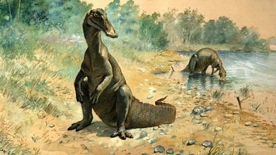 Los dinosaurios podrían haber alimentado a sus crías con 'leche' - RT