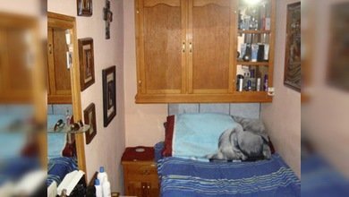 Cárcel por fuera, hotel por dentro: un reo mexicano se monta una 'suite' en una prisión