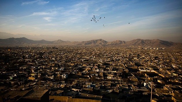 Aves suicidas: ¿La nueva arma de los talibanes en Afganistán?