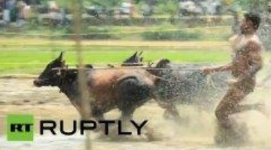 'Sanfermines' a la inversa en la India