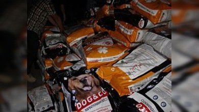 Envían alimento para perros como ayuda humanitaria para Trípoli