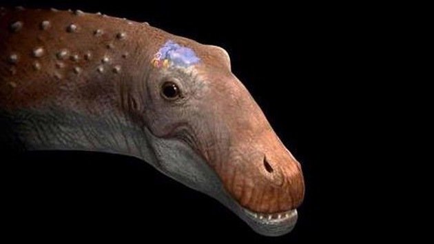 Dinosaurios: gigantes que no necesitaban grandes cerebros