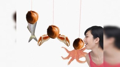 Japón lanza bombones con sabor a pollo y pescado