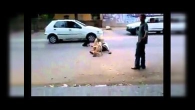 Unos perros fieles salvan a su amo de ser atropellado
