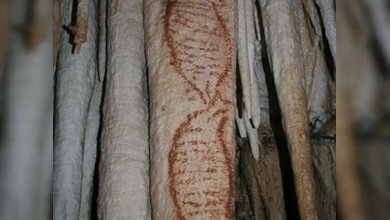 Los neandertales, ¿artistas rupestres?