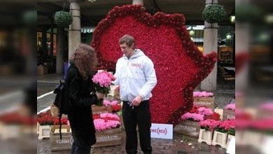 La guerra de las rosas contra el VIH y el sida