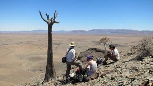 Primeros esqueletos: hallan un arrecife de 550 millones de años en Namibia