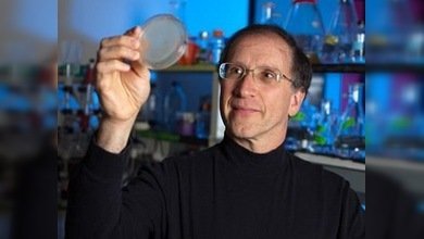 Diseñan proteínas artificiales que funcionan como naturales