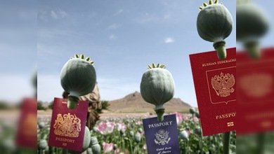 Drogas afganas, peligro internacional