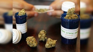 Legalización de las drogas, una clave para atraer a los electores hispanos en EE. UU.