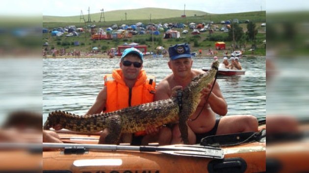 Se escapa y es recuperado ileso un cocodrilo de casi dos metros en Rusia