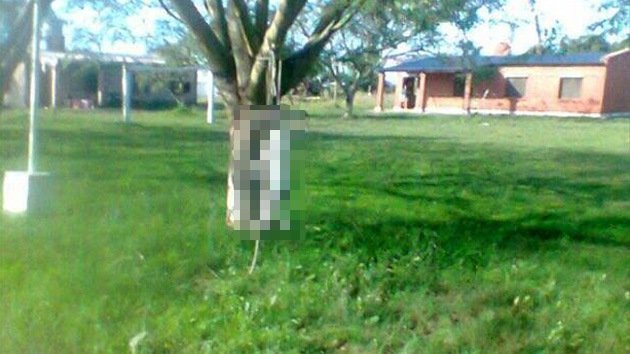 Argentina: denuncian a un cura por colgar a un perro de un árbol delante de niños
