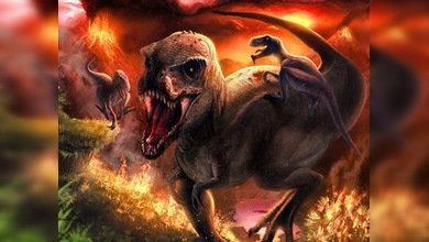 Actividad volcánica, principal causa de la extinción de las especies