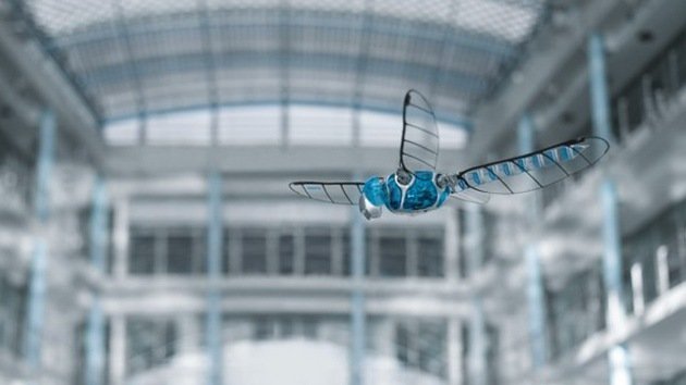 Video: El primer vuelo de una libélula robótica