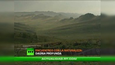 ENCUENTROS CON LA NATURALEZA : DAÚRIA PROFUNDA