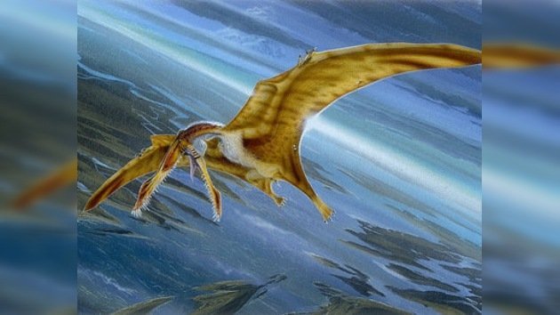 Los pterosaurios podían volar