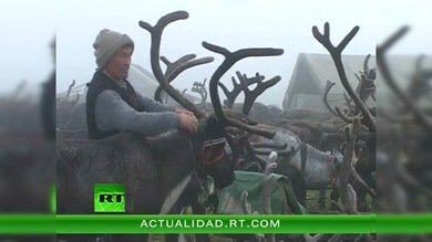 PUEBLOS AUTÓCTONOS DE RUSIA : LOS NENETS 