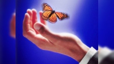 El mundo celebra el Día Mundial de Protección de Animales