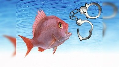 Singular arresto de peces exóticos