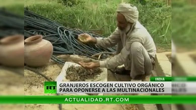 Granjeros de la India optan por la agricultura orgánica