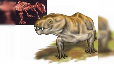 Antártida fue refugio para los animales prehistóricos