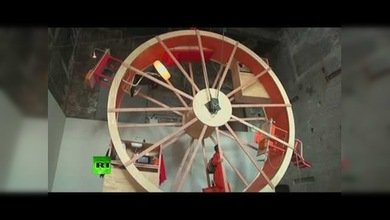 Dos artistas neoyorkinos vivirán como hámsters en una rueda gigante