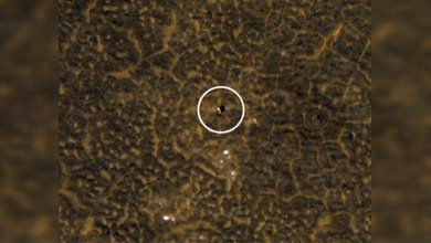 Fotos evidencian la existencia de movimientos sísmicos en Marte