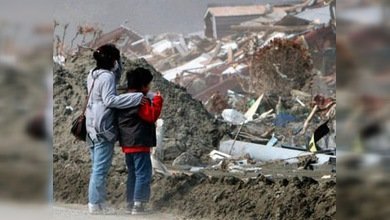 Las vacaciones de los niños nipones en Rusia, estropeadas por el tiburón asesino