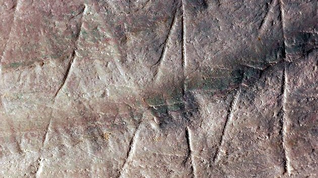 Descubren el dibujo más antiguo de la humanidad en la superficie de una concha