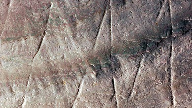 Descubren el dibujo más antiguo de la humanidad en la superficie de una concha