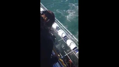 Un gran tiburón blanco deja ‘pálido’ a un turista canadiense