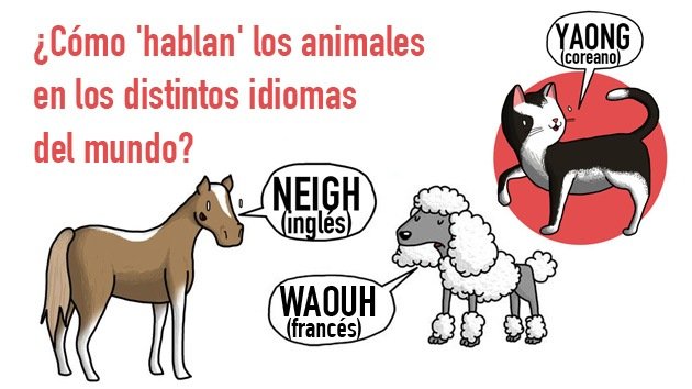 ¿Cómo 'hablan' los animales en los distintos idiomas del mundo?