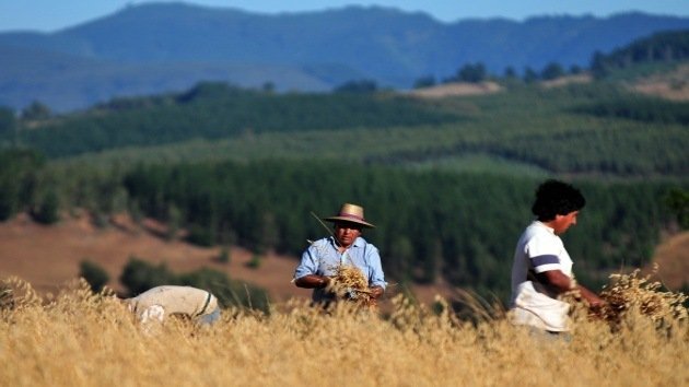 Chile: El pueblo mapuche lucha por recuperar sus tierras y defiende sus derechos