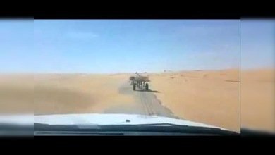 ¿Qué hacen un perro y un burro solos en medio del desierto?