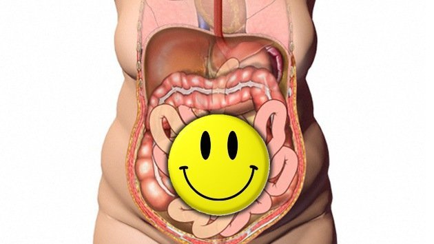 La felicidad: cuestión de intestinos