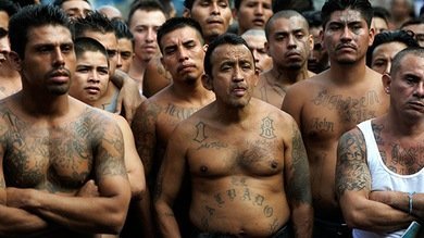 El 'olimpo' de las pandillas en EE.UU., un problema tan preocupante como el terrorismo