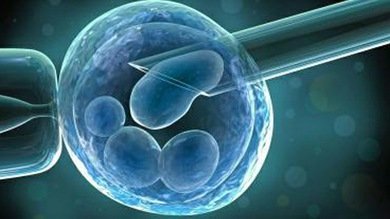 Logran convertir piel humana en células madre