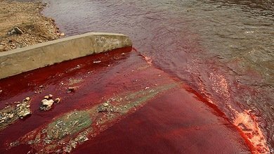 En tan solo 60 años desaparecieron 28.000 ríos en China