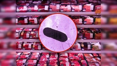 Retirada masiva de productos cárnicos por el bacilo de la listeria